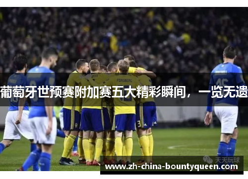 葡萄牙世预赛附加赛五大精彩瞬间,一览无遗 葡萄牙世预赛附加赛五大精彩瞬间,一览无遗