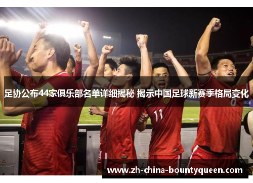 足协公布44家俱乐部名单详细揭秘 揭示中国足球新赛季格局变化