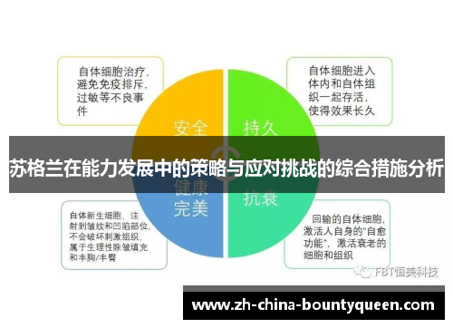 苏格兰在能力发展中的策略与应对挑战的综合措施分析