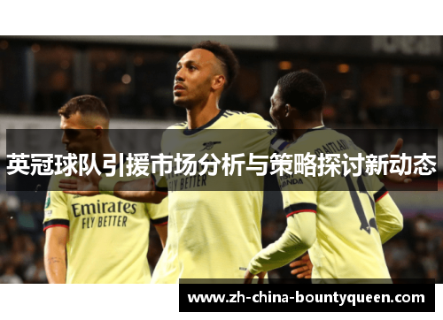 英冠球队引援市场分析与策略探讨新动态